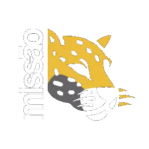 Partido Missão